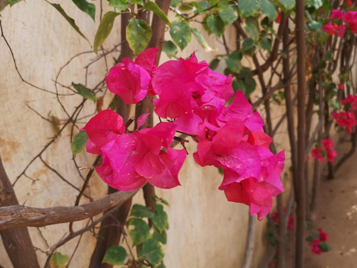 מבור Keur Baboune מראה חיצוני תמונה